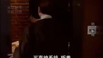 闻 在线观看,探寻历史深处的声音