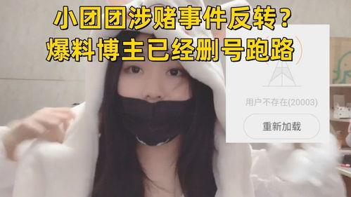 博主爆料干妈视频大全,博主爆料背后的精彩瞬间