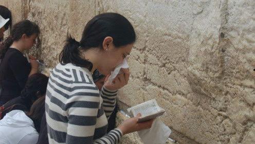 娱乐吃瓜君说白鹿,娱乐吃瓜君揭秘明星幕后故事